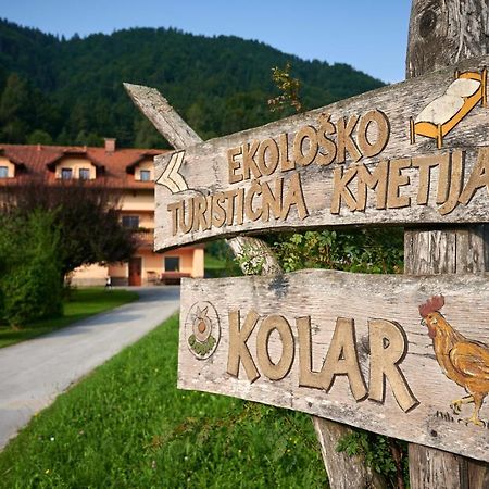Tourist Farm Kolar Ljubno Exterior foto