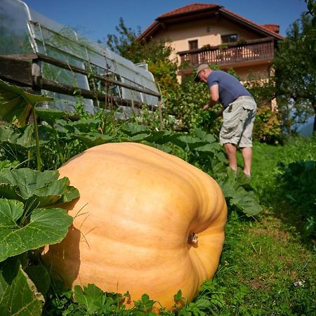 Tourist Farm Kolar Ljubno Exterior foto