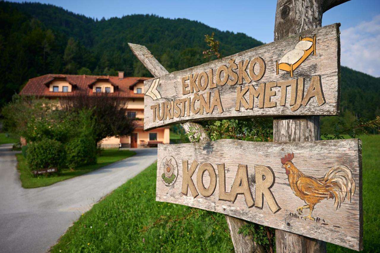 Tourist Farm Kolar Ljubno Exterior foto