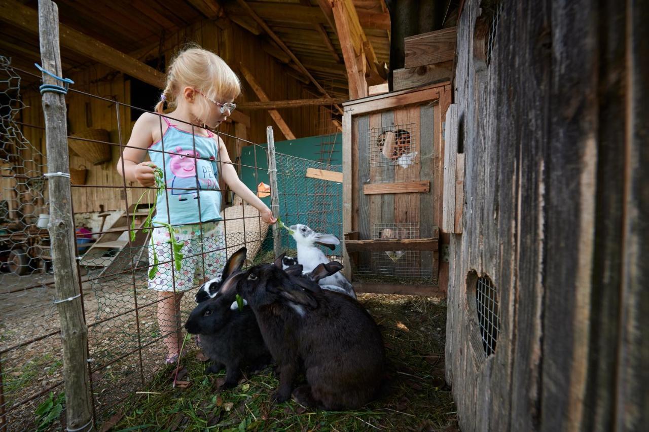 Tourist Farm Kolar Ljubno Exterior foto