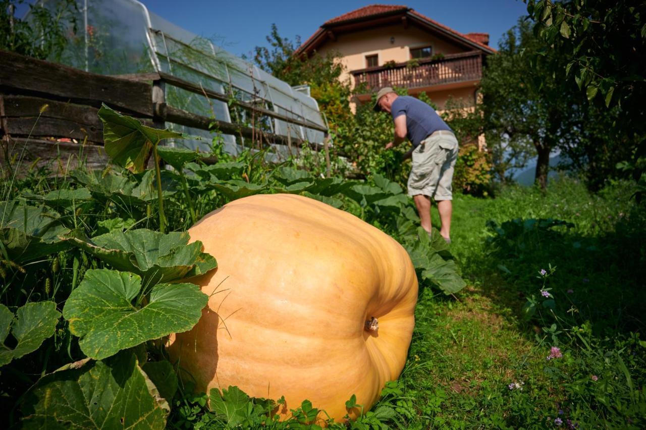 Tourist Farm Kolar Ljubno Exterior foto
