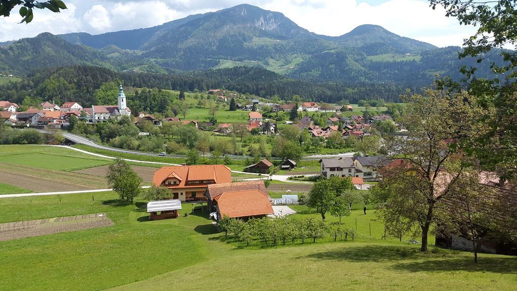 Tourist Farm Kolar Ljubno Exterior foto