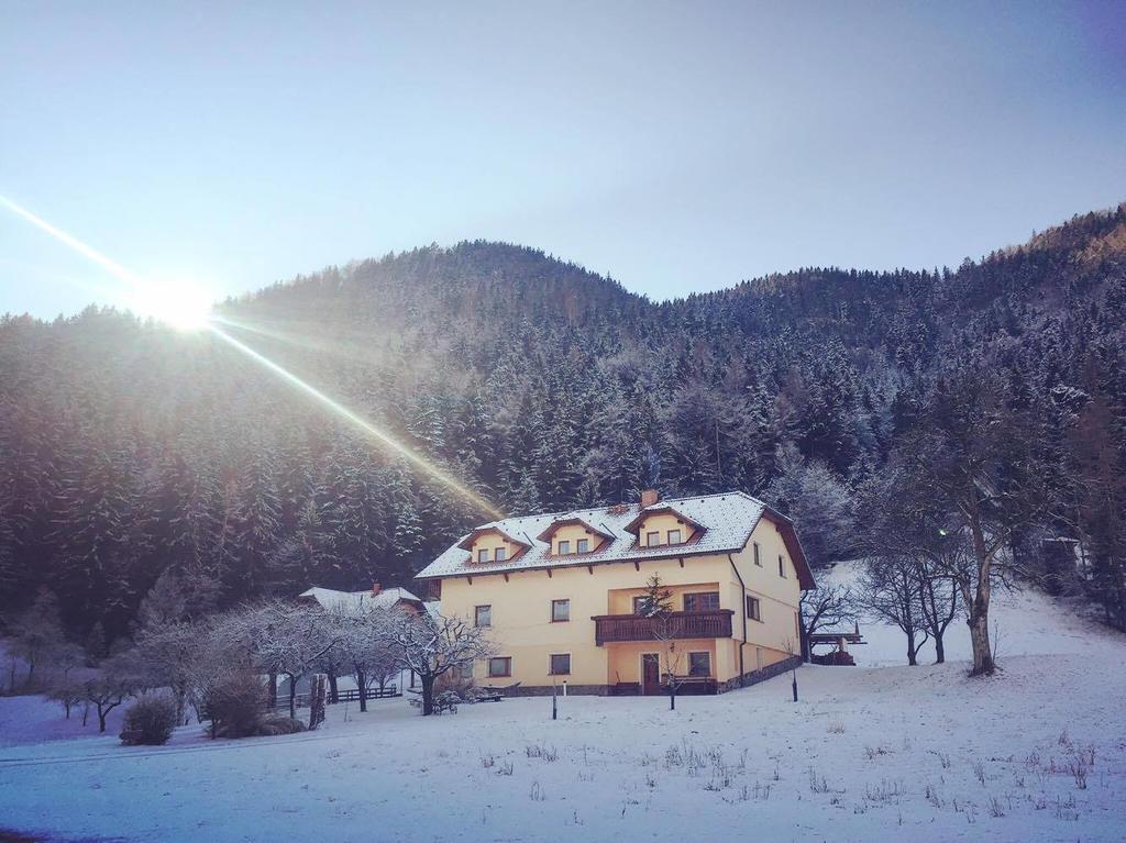 Tourist Farm Kolar Ljubno Exterior foto